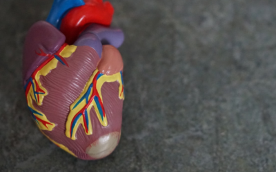 Myocarditis and Pericarditis – What Are They and Why Should You Care?